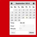 acf-field-date-time-picker icon
