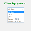 admin-filter-posts-by-year icon