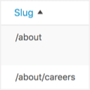 admin-slug-column icon
