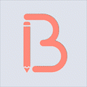 bulky-bulk-edit-products-for-woo icon