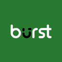 burst-statistics icon