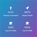 counter-number-showcase icon