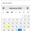 custom-datepicker-nmr icon
