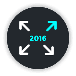 customize-twenty-sixteen icon