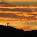 dashboard-cleaner icon