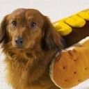 date-published-shortcode icon