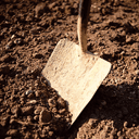 disable-gutenberg icon