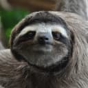 disable-lazy-loading icon