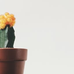 disable-login-language-switcher icon