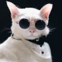 disable-media-sizes icon