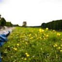 display-featured-image-genesis icon