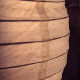 flexible-posts-widget icon