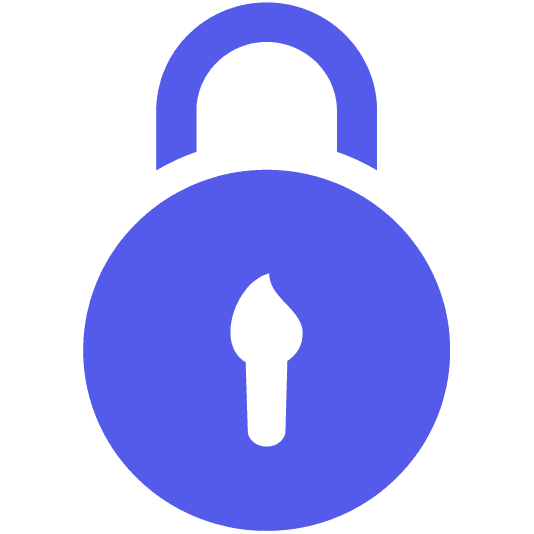 login-customizer icon