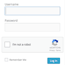 login-recaptcha icon