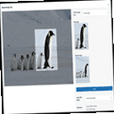 manual-image-crop icon