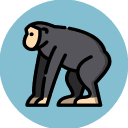 olalaweb-mailchimp-campaign-manager icon