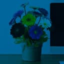 options-for-twenty-nineteen icon