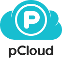 pcloud-wp-backup icon