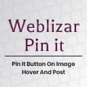 pinterest-pin-it-button-on-image-hover-and-post icon