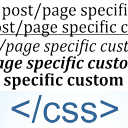 postpage-specific-custom-css icon