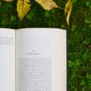 public-post-preview icon