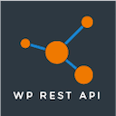 rest-api icon