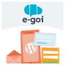 smart-marketing-for-wp icon