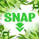 social-networks-auto-poster-facebook-twitter-g icon