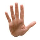 sortable-word-count-reloaded icon