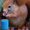 sqlite-object-cache icon