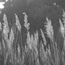 storefront-product-sharing icon