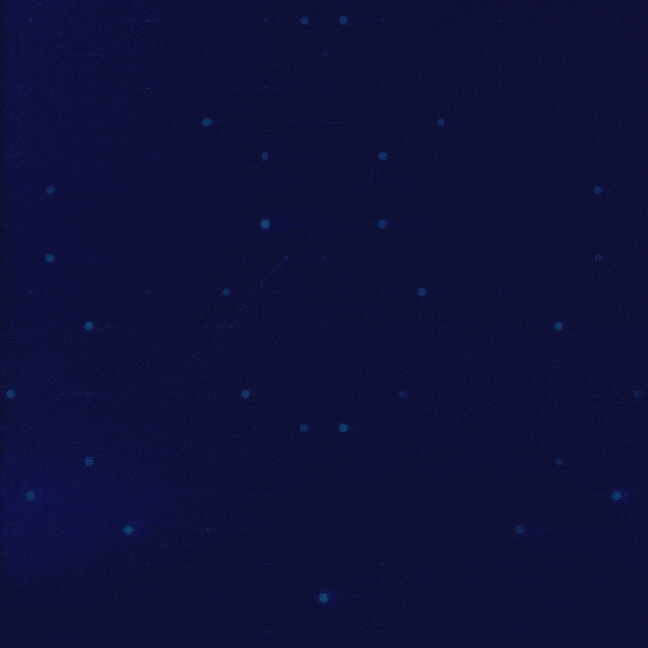 testimonials-carousel-elementor icon