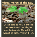 visual-verse-of-the-day-widget icon