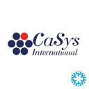 wc-casys-payment icon