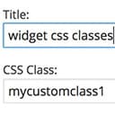 widget-css-classes icon