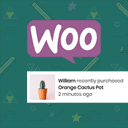woomotiv icon