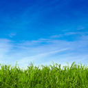 wp-post-meta-revisions icon