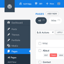 wpredesigned-beautiful-custom-admin-theme icon