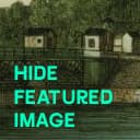 zi-hide-featured-image icon